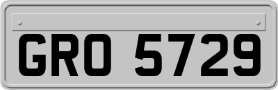 GRO5729