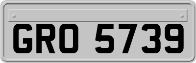 GRO5739