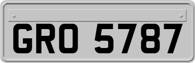 GRO5787