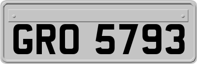 GRO5793
