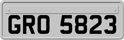 GRO5823