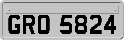 GRO5824