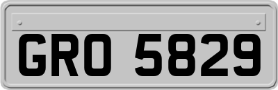GRO5829