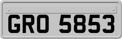 GRO5853