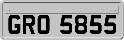 GRO5855