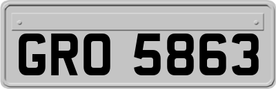 GRO5863