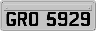 GRO5929