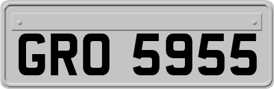 GRO5955