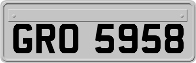 GRO5958