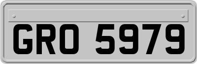 GRO5979