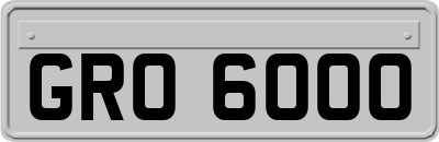 GRO6000