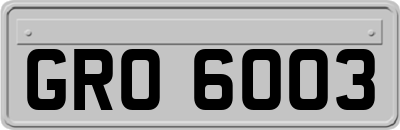 GRO6003