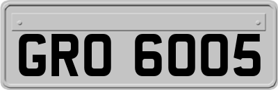 GRO6005