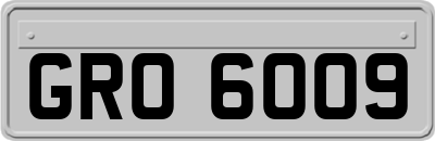 GRO6009