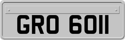 GRO6011