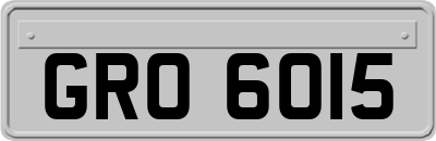 GRO6015