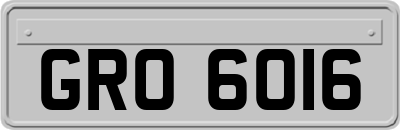 GRO6016