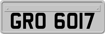 GRO6017
