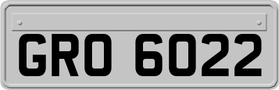GRO6022
