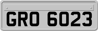 GRO6023