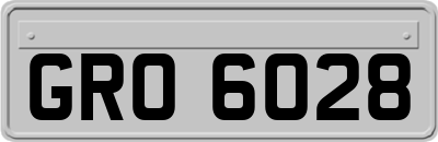 GRO6028