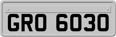 GRO6030