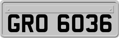 GRO6036
