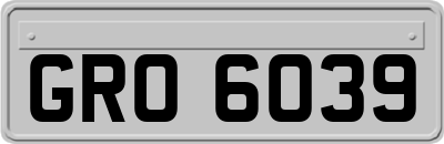 GRO6039