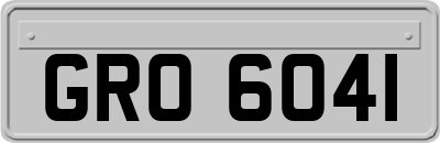 GRO6041