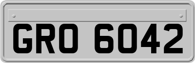 GRO6042