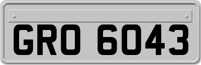 GRO6043