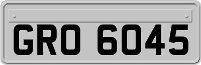 GRO6045