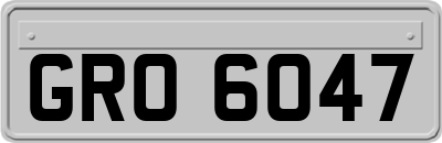 GRO6047