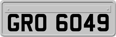 GRO6049