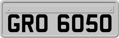 GRO6050
