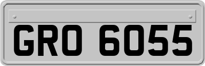 GRO6055