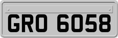 GRO6058