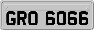 GRO6066