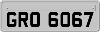 GRO6067