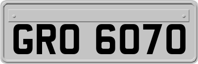 GRO6070