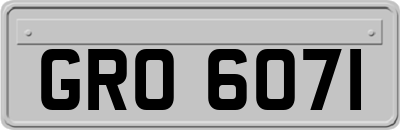 GRO6071