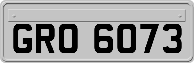 GRO6073