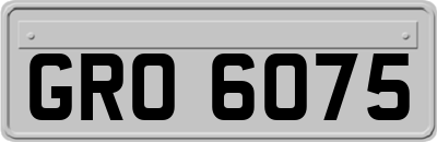 GRO6075