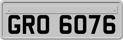 GRO6076