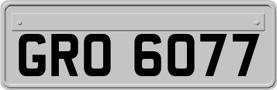 GRO6077