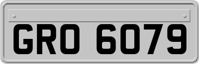 GRO6079