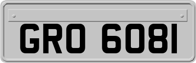 GRO6081