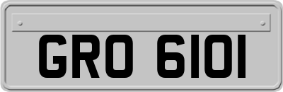 GRO6101