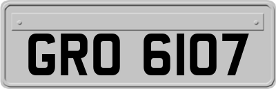 GRO6107