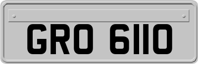 GRO6110